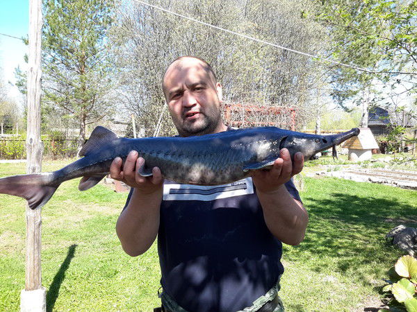 Андрей Волков