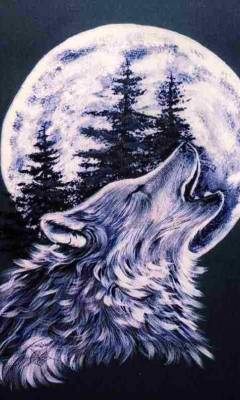 Анастасия Полянина