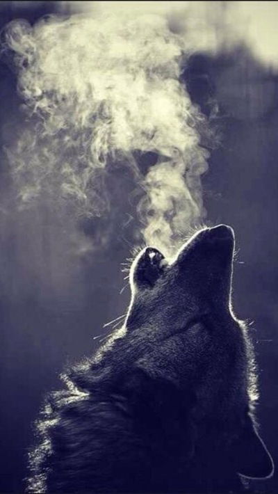 Наиль Валеев