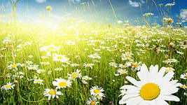 Евгений Коломыцев