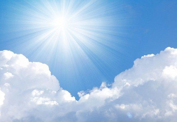 Артур Берёза