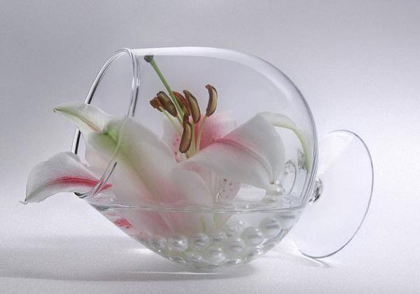 Dilfuzaxon Xasanovna