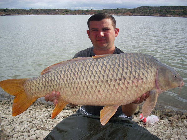 Игорь Кудинов