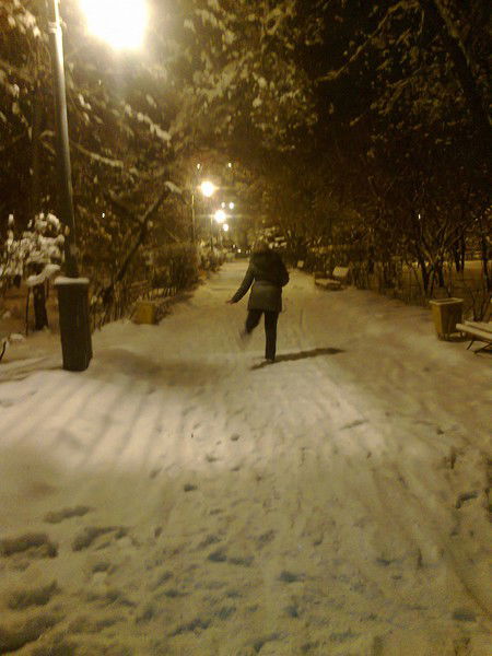 Светлана Садомова