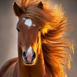 Татьяна Кожемякина