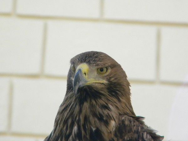 Сергей Смирнов