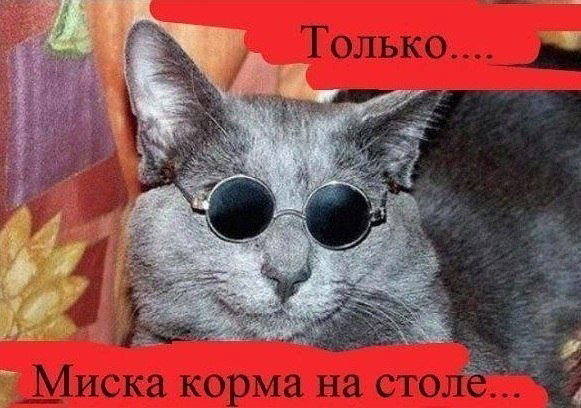 Геннадий Игнатов