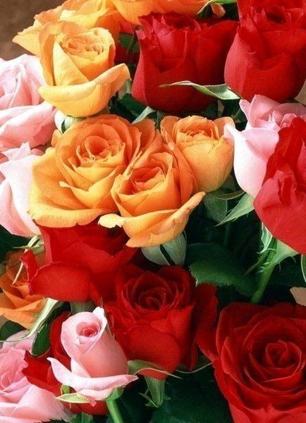 Гулшахар Джумаева