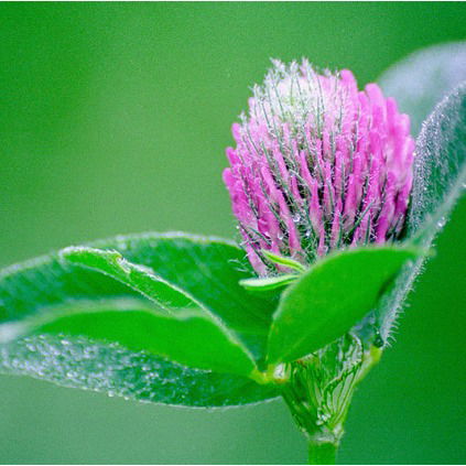 Аркадий Солдатов