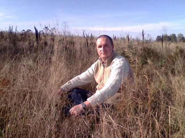 Владимир Поляничев