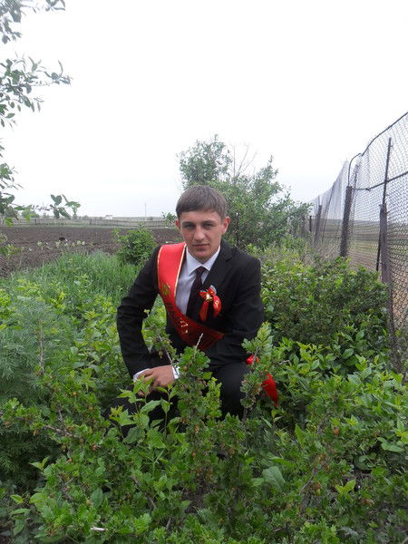 Виктор Майер