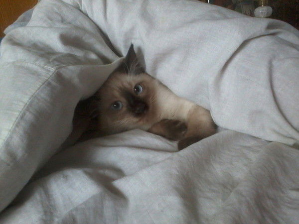 Марина Марина