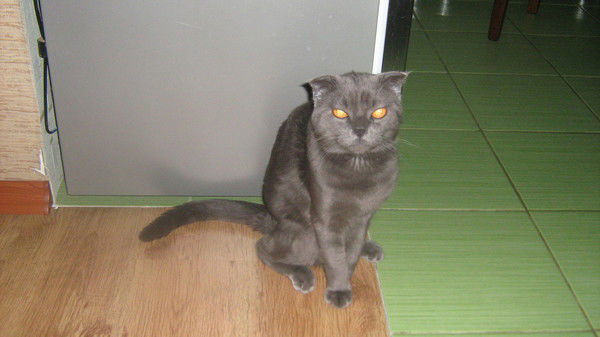 Руслан Фахрединов