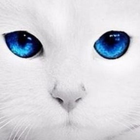 Елена Тихонова