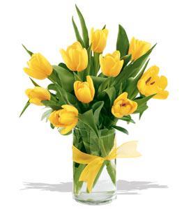 Вергинэ Алавердян