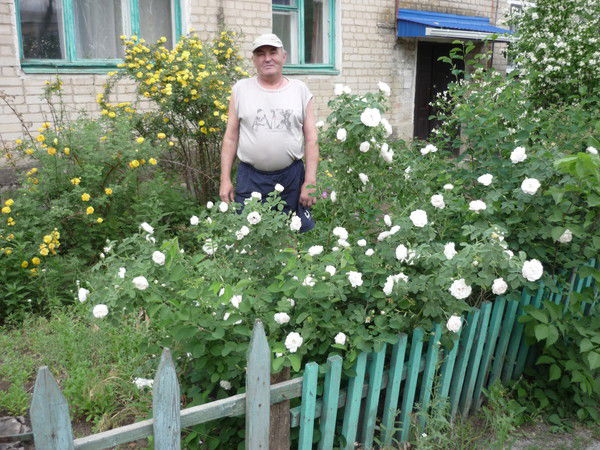 Александр Купцов