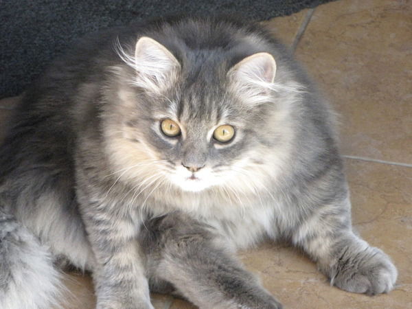 Надежда Казанжи