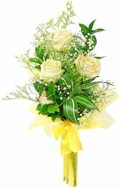 Светлана Чвилева