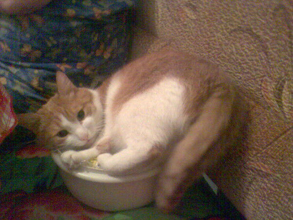 Льдинка Льдин-Ка