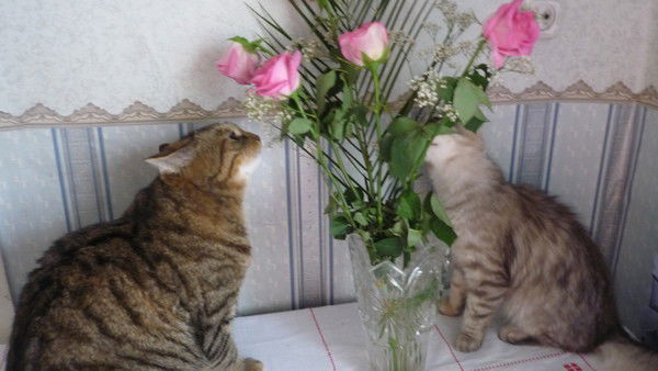 Татьяна Шкунова