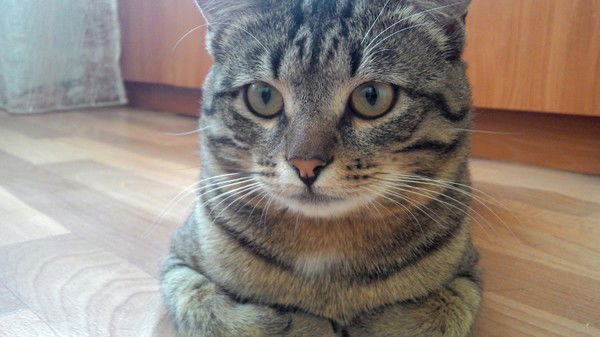 Катерина Смагина