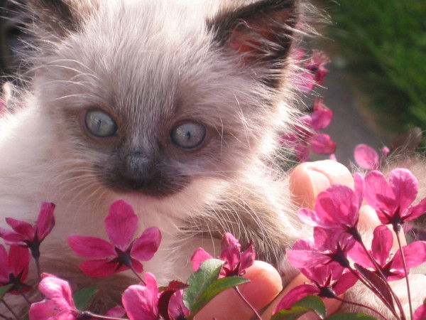 Марина Анатольевна