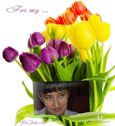 Чернышкова Наталья