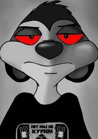 Дима Саньков