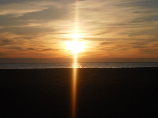 Марина Плеханова