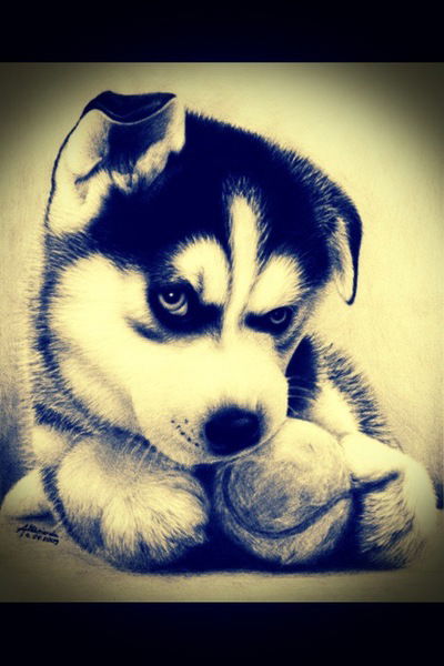 Степан Зубарев