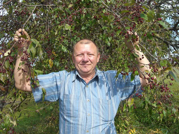 Владимир Пересыпкин