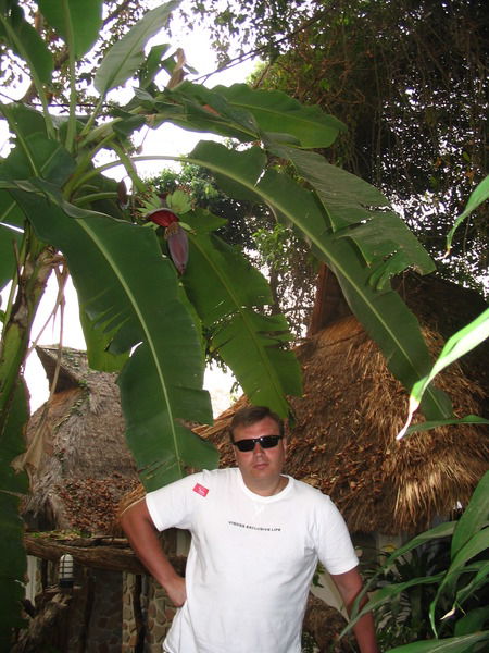 Юрий Губарев