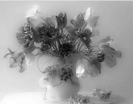 Наталия Пинаева