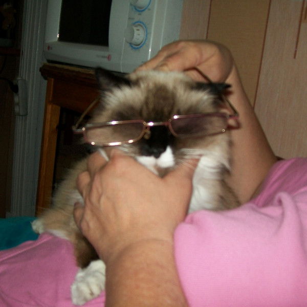 Наталья Цепалкина