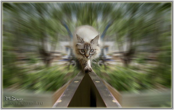 Татьяна Зинченко