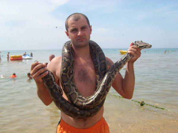 Александр Шалимов