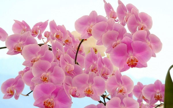 Нурия Юсупова