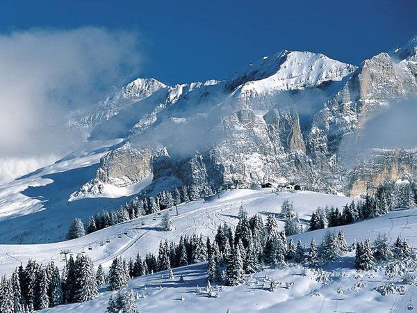 Денис Сидоренко