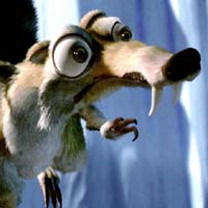 Даша Коршунова