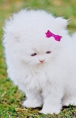 Дарья Ершова