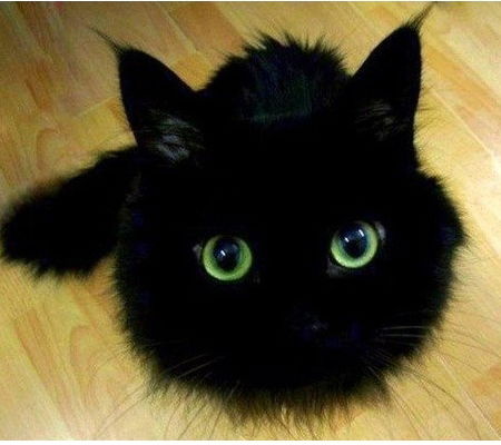 Павел Бычков