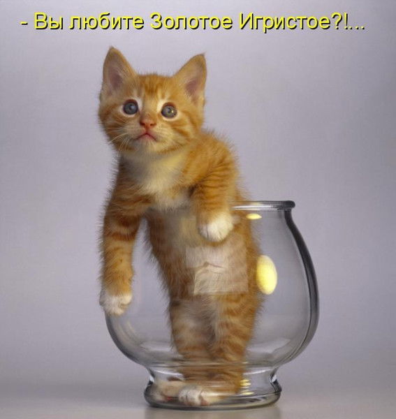 Василий Железнов12