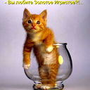 Василий Железнов12