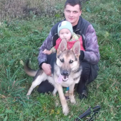 Александр Данильчук