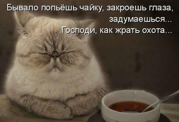 Елена Горбунова