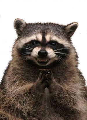 Семён Мелешенко