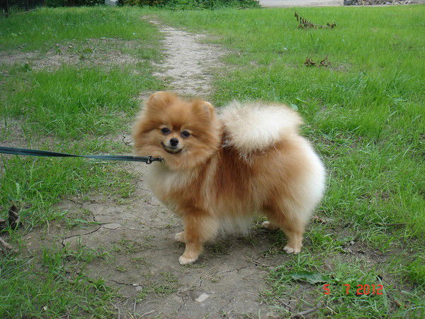 Надежда Половцева