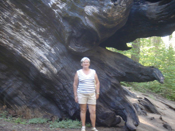 Татьяна Мельникова