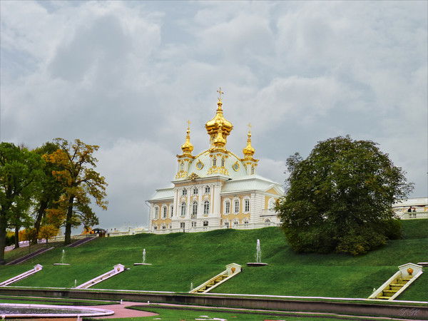 Влад Довгопол