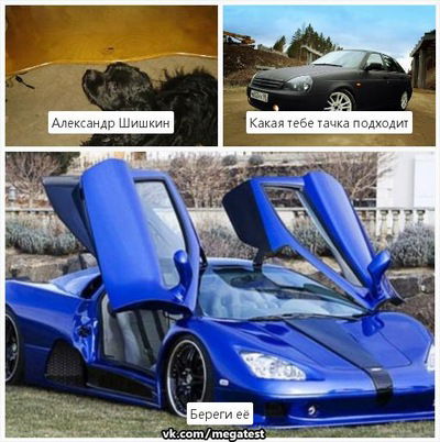 Александр Шишкин